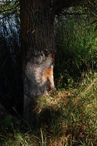 Таганка з panoramio.com