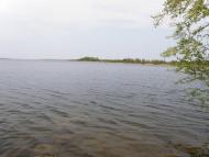 Митківці з panoramio.com