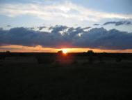 Нова Семенівка з panoramio.com