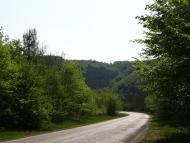 Суржинці з panoramio.com