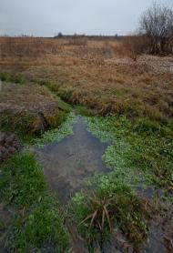 Вочківці з panoramio.com