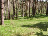 Джурин з panoramio.com