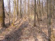 Кузьки з panoramio.com