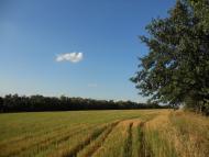 Шевченківка з panoramio.com