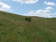 Бучина з panoramio.com