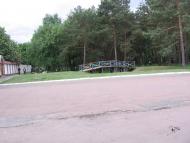 Дівички з panoramio.com