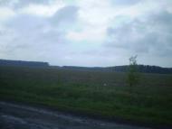 Кадище з panoramio.com