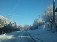 Саранчуки з panoramio.com