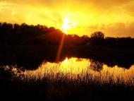 Грушівка з panoramio.com