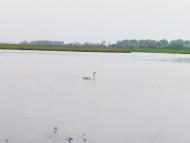 Хмелівка з panoramio.com