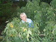 Цвіткове з panoramio.com