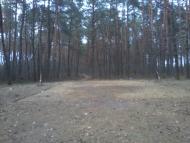 Реклинець з panoramio.com