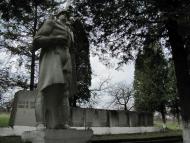 Рошнів з panoramio.com