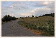 Калинове з panoramio.com