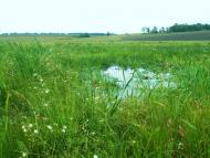 Розсохувата - Останні фото