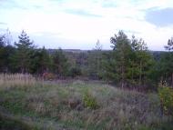 Ізбицьке з panoramio.com