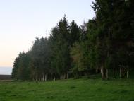 Безіменне з panoramio.com