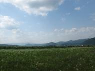 Раково з panoramio.com