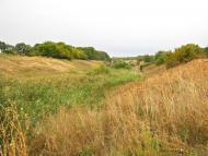 Раївка з panoramio.com