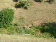 Пересадівка з panoramio.com