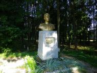 Кам'янече з panoramio.com