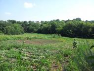 Бугас з panoramio.com