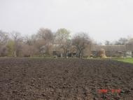 Виров - Останні фото