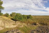 Миколаївка з panoramio.com