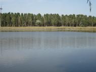 Грізне - Останні фото