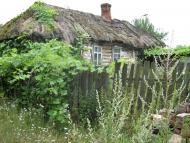 Сутоки з panoramio.com