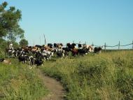 Басове з panoramio.com