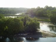 Шершні з panoramio.com