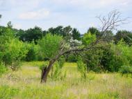 Гур'їв Козачок з panoramio.com