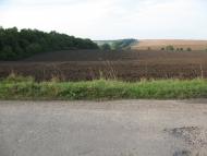 Скаржинці з panoramio.com