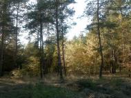 Прелесне з panoramio.com