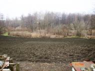 Побірка - Останні фото