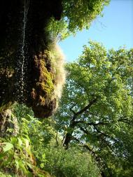 Нагоряни з panoramio.com