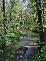 Русько-Орлівка з panoramio.com - Русско-Орловка