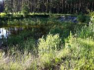 Клавдієво-Тарасове з panoramio.com