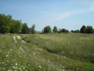 Скрипчин з panoramio.com