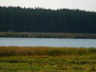 Нехворощ з panoramio.com