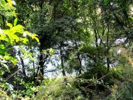 Степань з panoramio.com