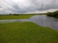 Бузаки з panoramio.com