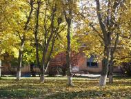 Попівка з panoramio.com