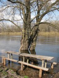 Чумакове з panoramio.com