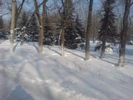 Гірник з panoramio.com