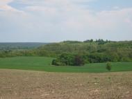 Нечаївка з panoramio.com - Нечаевка