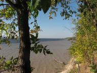 Червонодніпровка з panoramio.com