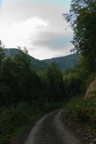 Кострина з panoramio.com