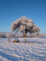 Захарівка з panoramio.com